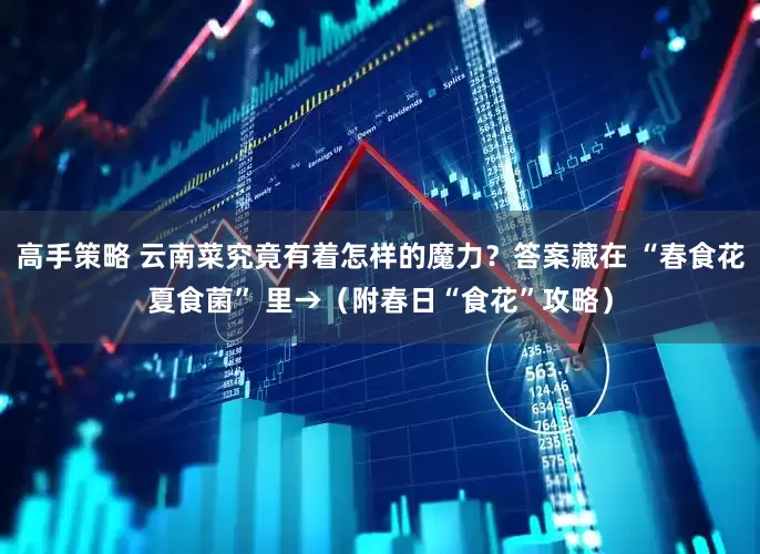 高手策略 云南菜究竟有着怎样的魔力？答案藏在 “春食花夏食菌” 里→（附春日“食花”攻略）